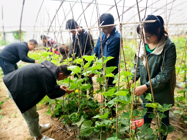 1589163757.jpg 體驗“綁繩”.jpg